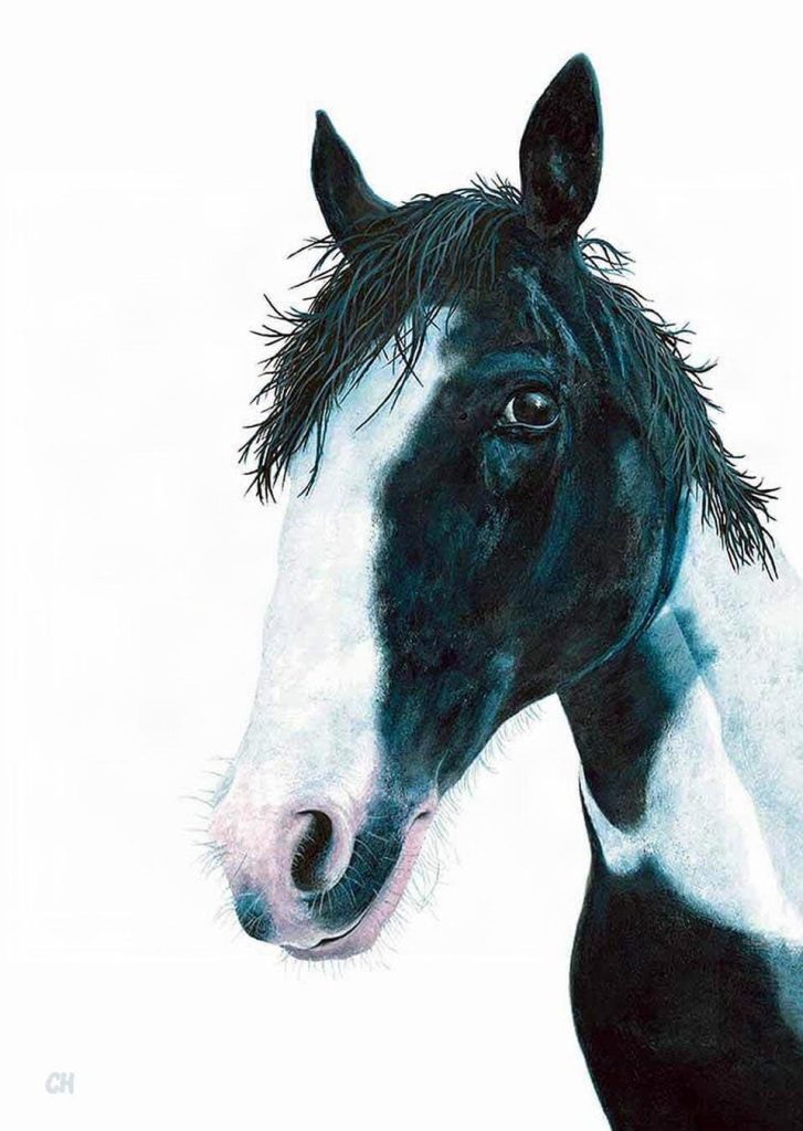 Portrait painting of American Paint Horse