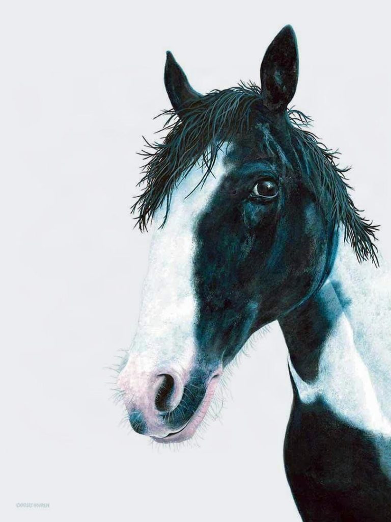Portrait painting of American Paint Horse