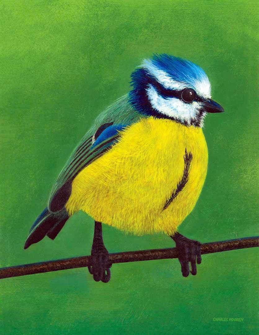 Painting of Blue Tit bird