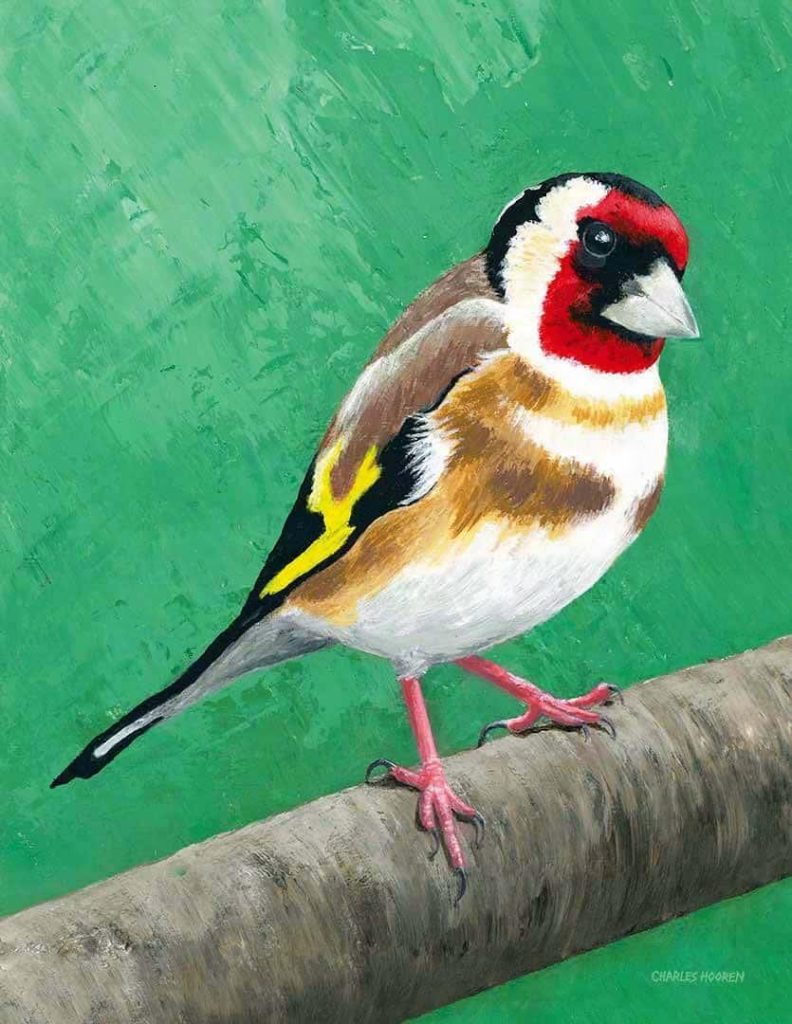 Painting of a Goldfinch bird