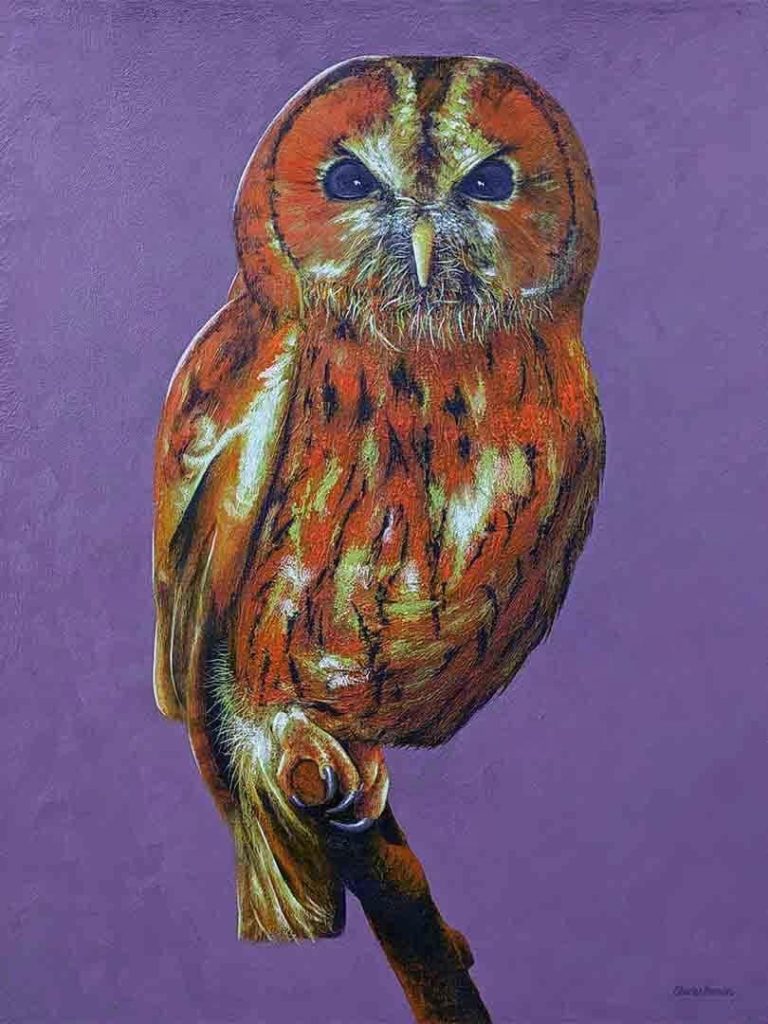 Tawny owl painting