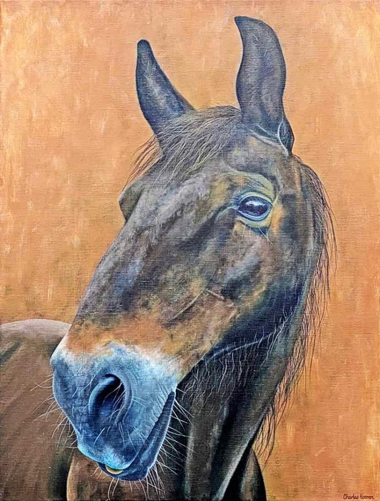 Horse portrait painting of Wynner, who is being cared for at a horse sanctuary